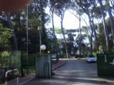 Vendita Appartamento a viareggio (Viareggio Viale dei Tigli) - Rif. tdl1 1023